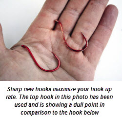 Tips for Surfcasting